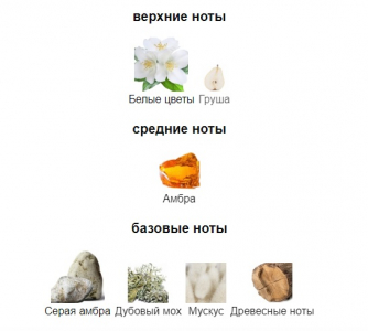 ARCADIA ETERNAL edp 100ml