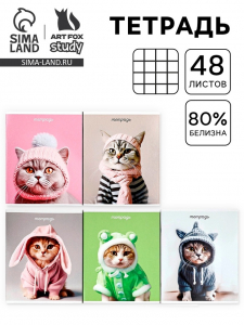 Тетрадь в клетку, 48 л., А5, на скрепке, блок №2 «Котики» МИКС