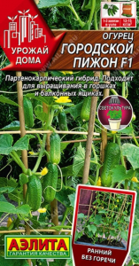 Огурец Городской Пижон F1 Аэлита