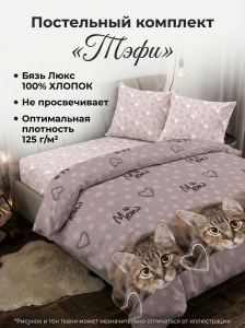 Комплект постельного белья Тэфи бязь