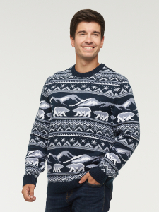 Джемпер мужской 222-12335