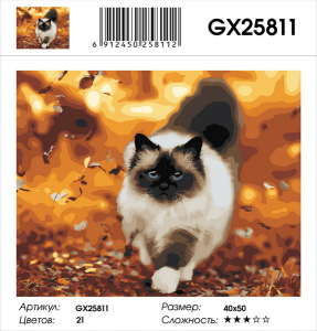 GX 25811