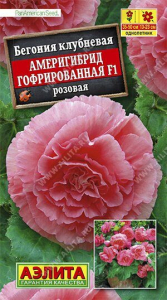 Семена Бегония Америгибрид гофрированная F1 розовая Ц/П
