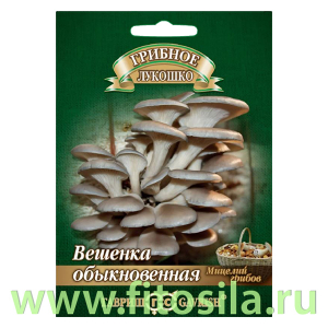 Вешенка Обыкновенная на древесной палочке, больш. пак. 12 шт  (семена для проращивания)