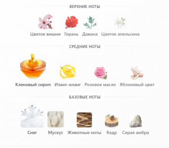 Moth and Rabbit Perfumes Dolls 50ml