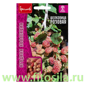 Шелковица Розовая 0,1г (семена для проращивания)