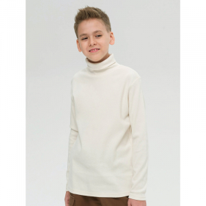 BFJS5295 джемпер для мальчиков (1 шт в кор.)