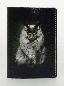 Обложка для паспорта VITA2