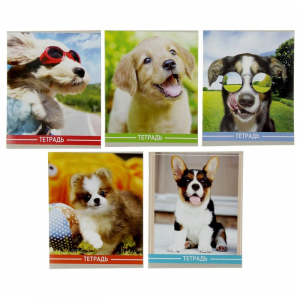 Тетрадь 36 листов в клетку, Calligrata «Щенки», МИКС