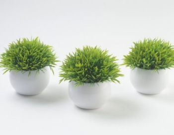 Искусственные цветы, Композиция зелень в кашпо (d-14см) (