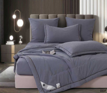 Одеяло Boris E-Shine Бархат Сатин с простыней на резинке по кругу и наволочками ODBORSH08