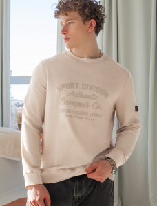 Свитшот из фактурного хлопка с авторским принтом