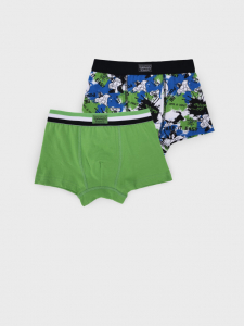 Трусы-боксеры для мальчика, 2 шт в комплекте