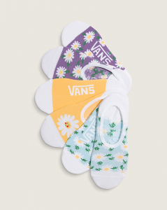 Printed Canoodle Socks 3-Pack