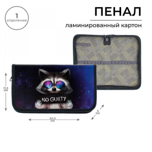 Пенал 1 секция 115 х 205 х 30 мм, Calligrata 