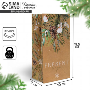 Пакет подарочный без ручек новогодний Present for you, 10?19?7 см