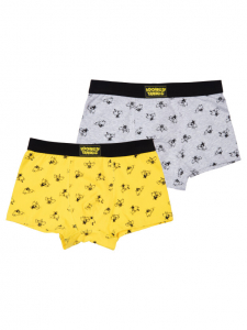 Трусы-боксеры для мальчика, 2 шт. в комплекте