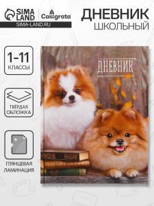 Дневник школьный для 1-11 классов, «Шпиц», твёрдая обложка 7БЦ, глянцевая ламинация, 40 листов