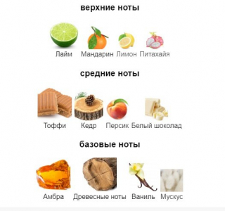 ZARKOPERFUME SENDING LOVE edp 100ml