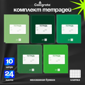 Тетради 10 штук, 24 листа в клетку «Однотонная Новая», обложка мелованная бумага, ВД-лак, блок офсет, 5 видов по 2 шт.