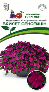 3402P Бальзамин F1 крупноцветковый ВАЙЛЕТ СЕНСЕЙШН 5шт