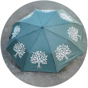 J.S Ondo Arbol (360) MENTA