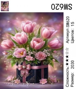 SW620 Под заказ