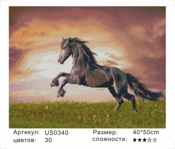 US0340 Без подрамника мозаика 40*50