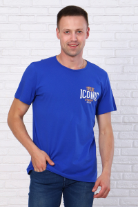 Футболка Иконик