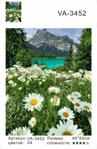 VA3452 Без подрамника картина по номерам 40*50