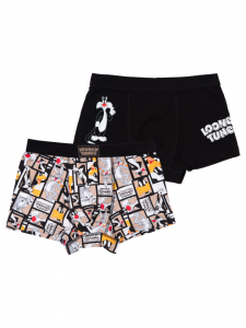 Трусы-боксеры для мальчика, 2 шт. в комплекте