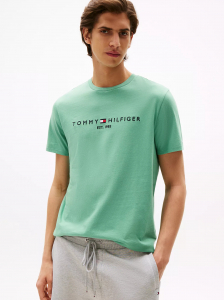 Embroidered Tommy Logo T-Shirt