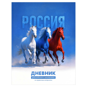 Дневник российского школьника, А5+, 48 л, интегральный переплёт, выборочный  УФ-лак, матовая ламинация