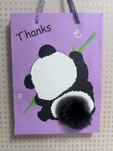 Пакет подарочный (18*24*8,5см) (в ассортименте) (3608)