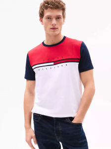 Colorblock Flag Stripe Logo T-Shirt