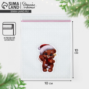 Пакет под сладости новогодний «Дружочек», 10?10 см