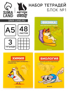 Тетради предметные, 48 л., А5, набор из 3 шт. «Персонажи»