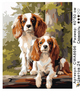 CWA8696 Под заказ