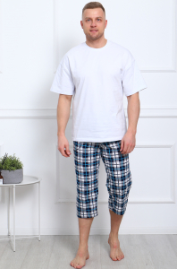 Шорты-бермуды мужские (клетка синяя)