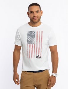 FADED FLAG GRAPHIC T-SHIRT