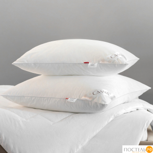 CASSIA КЛАУД СОФТ Подушка 50х70, 1пр., хл./микровол.