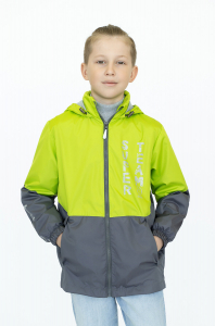 Утёнок Ветровка