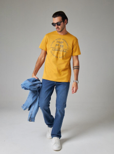 Футболка мужская арт. 02285/F5&Denim