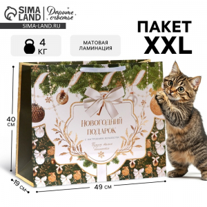 Пакет подарочный новогодний ламинированный «Новогодний подарок», XL 49?40?19 см