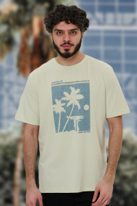 футболка мужская 2852-20