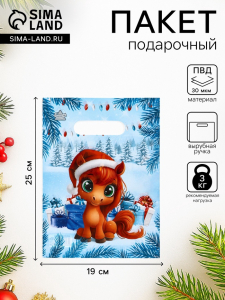 Пакет подарочный новогодний «Поняшка», полиэтиленовый с вырубной ручкой, 19?25 см, 30 мкм