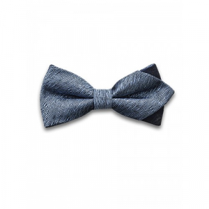 Бабочка Tsarevich 41