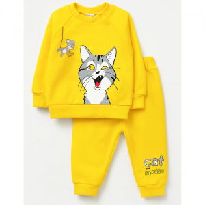 Костюм футер 2х нитка начес 8027310701