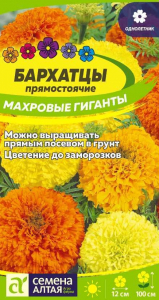 Бархатцы Махровые Гиганты Сем.Алтая