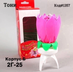 Музыкальные свечи для торта (Код#1357)